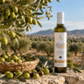 Chemchali : découvrir cette variété d’olive tunisienne.